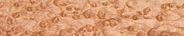 Bird's-Eye Maple