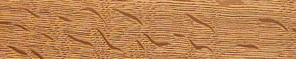 White Oak