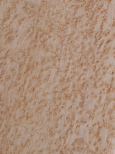 Bird's-Eye Maple