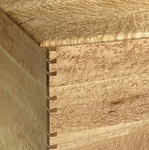 Bird's-Eye Maple